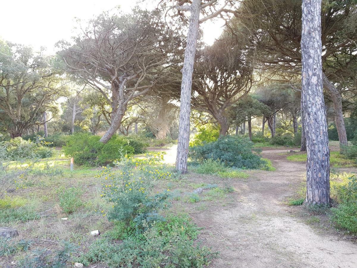 Apartamento Pinar Del Atlantico-La Barrosa Чиклана-де-ла-Фронтера Екстер'єр фото